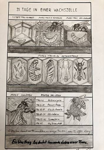  &copy; Bertel´s Bienen Inh. Norbert Begau